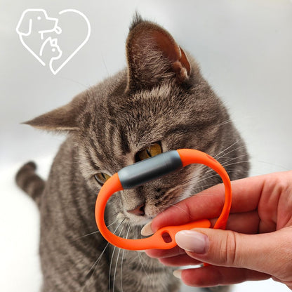 Anti-Mücken Band | 100% natürlicher Schutz | 240 Tage Nachfüllpack