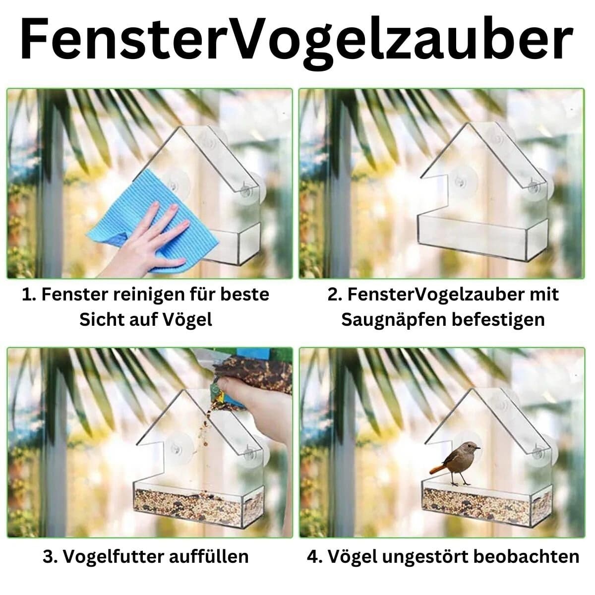 FensterVogelzauber – Das Klare Vogelhäuschen für Zuhause